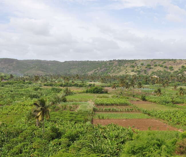 Kapverdische Insel Santiago : Highlights : Blick in die Ribeira Secca bei Achada Fazenda