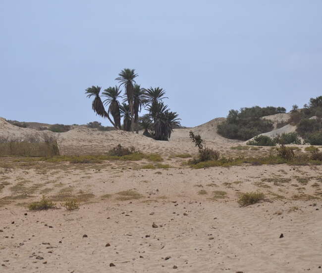 Kapverdische Insel Maio