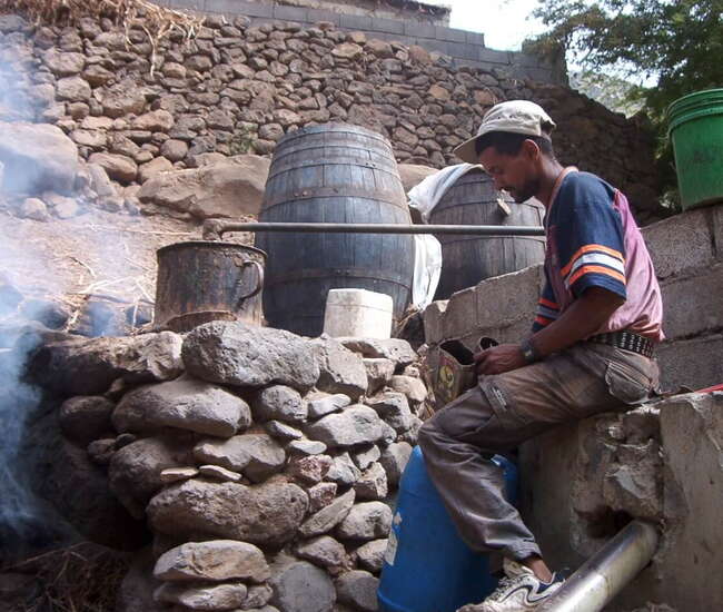 Trekking kapverdische Insel Santiago - von Cidade Velha nach Tarrafal: Groguebrenner