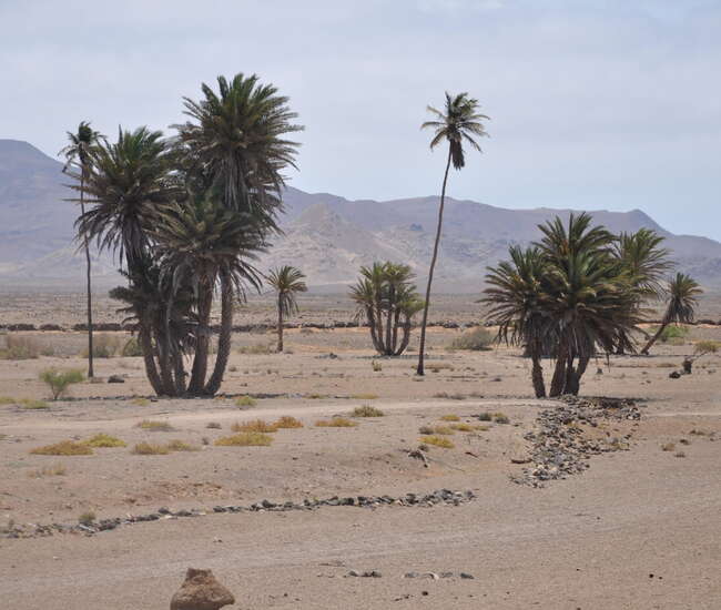 Kapverdische Insel Boavista