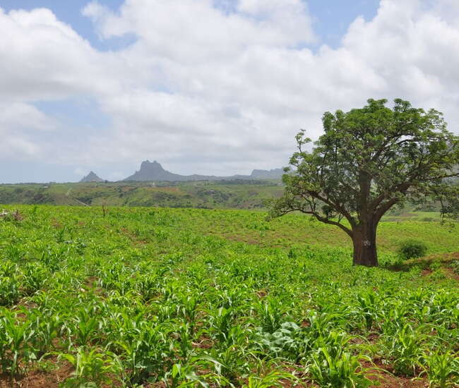 Kapverdische Hauptinsel Santiago Auf der Hochebene