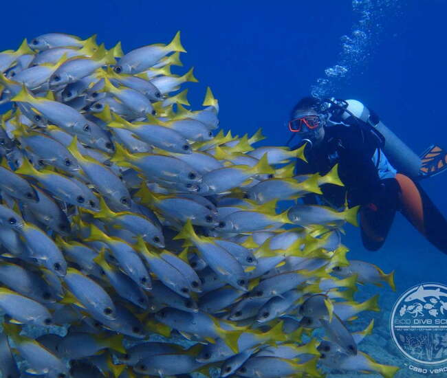 Kapverdische Insel Sal Wasserport für Einsteiger