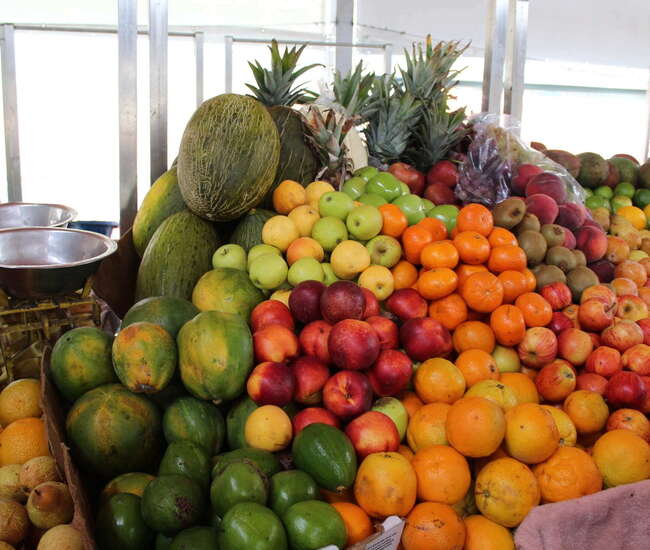 Birnen, Avocado, Papaya, Äpfel, Orangen, Ananas, Kiwi und viele weitere bunte Früchte