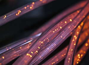 Nahaufnahme Fiber-Internetleitungen