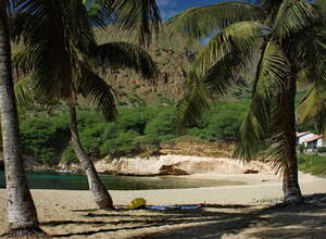 Kapverdische Insel Santiago Tarrfal Im-Schatten-der-Palmen