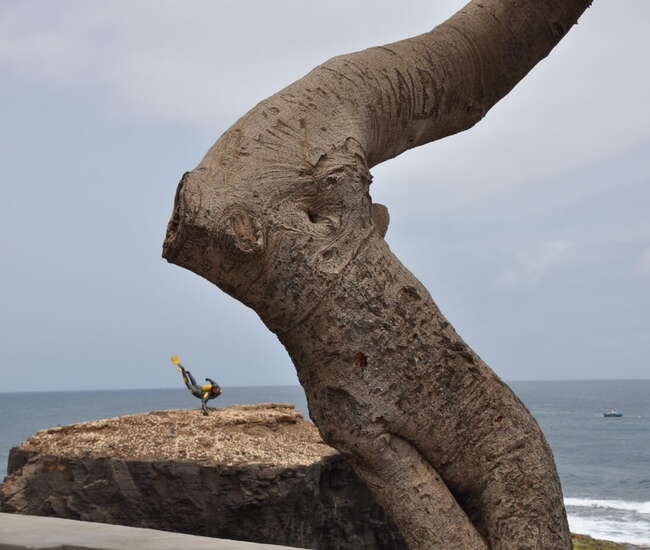 Taucher (Ponta do Sol)