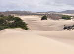 Düneninsel Boavista