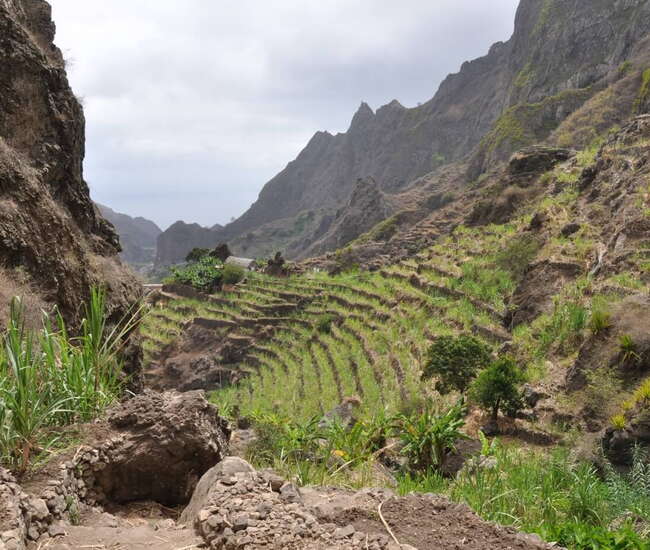 Kapverden Rundreise : Tageswanderungen Santo Antão + Santiago: Figueiral de Paul