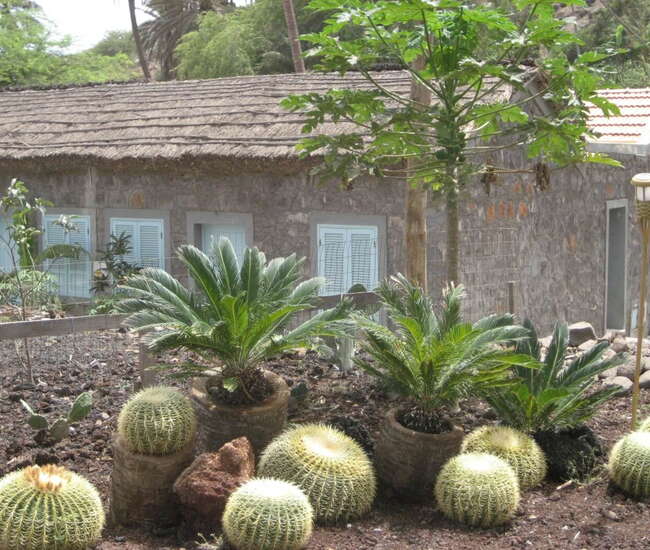 Kapverdische Insel Santiago Rua Banana
