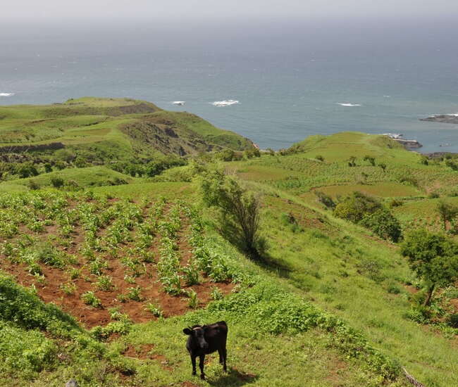 Kapverden Vukaninsel Fogo Auf dem Weg nach Mosteiros