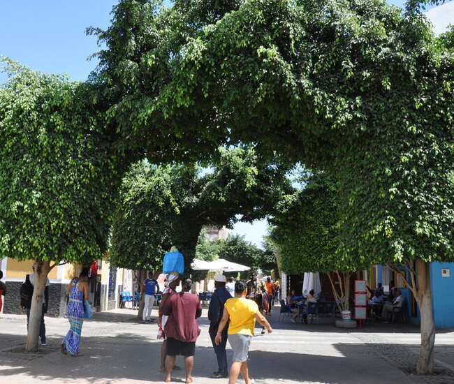 Kapverdische Insel Santiago - Tageswanderungen