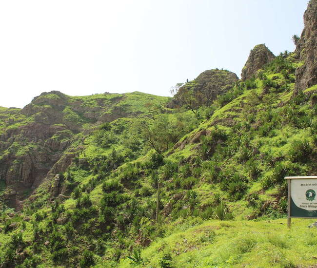 Grüne Pflanzen im Naturpark Serra Malagueta inkl. Parkschild
